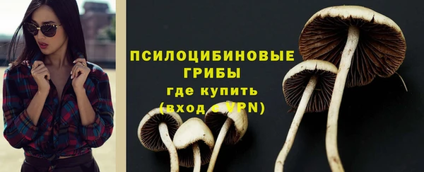прущий лед Осташков