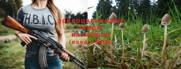 прущий лед Осташков